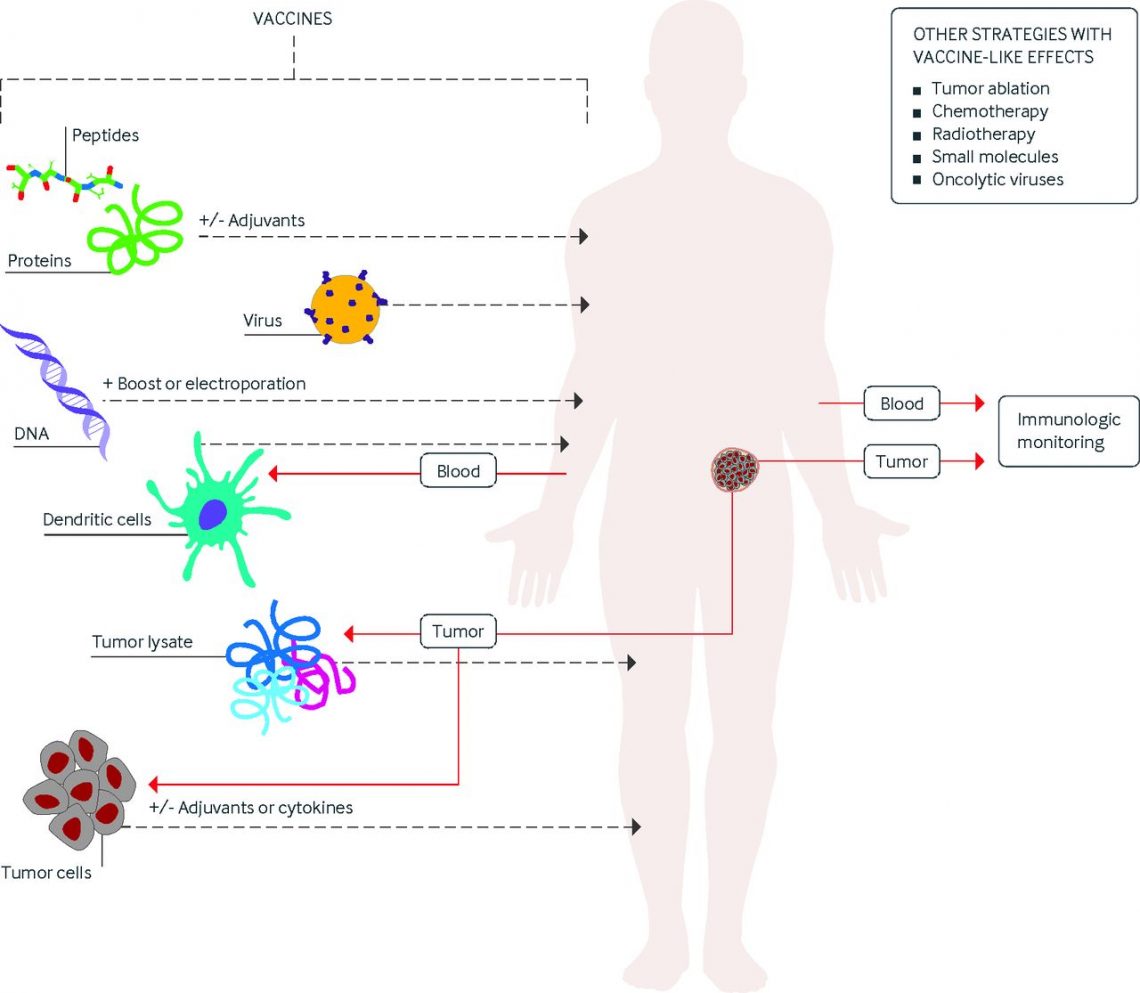 Cancer Vaccines Market 2019 With Top Countries Data : Size, Share, Product Demand, Type, Applications, Growth Strategies 2026