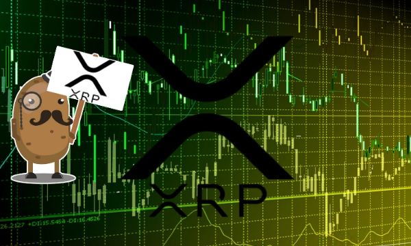 XRP Bounces Off $0.21 But Has The Correction Ended?