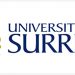 Senior Lecturer/Reader in Strategy and International Business job with UNIVERSITY OF SURREY