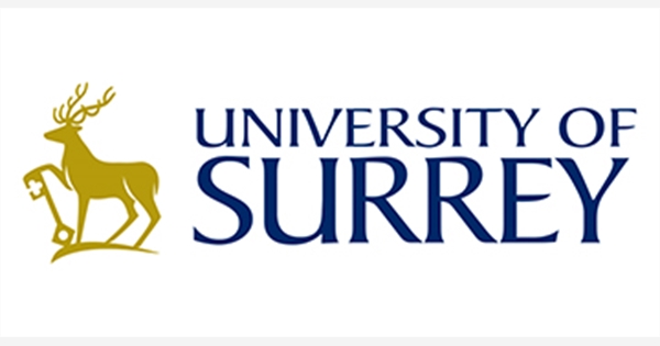 Senior Lecturer/Reader in Strategy and International Business job with UNIVERSITY OF SURREY