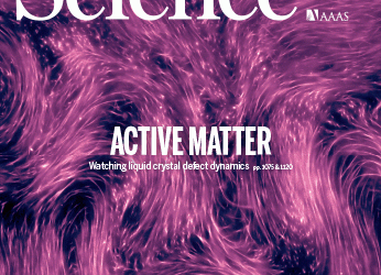 A central master driver of psychosocial stress responses in the rat