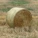Bale Netwrap Market Growth Overview, Size, SWOT Analysis