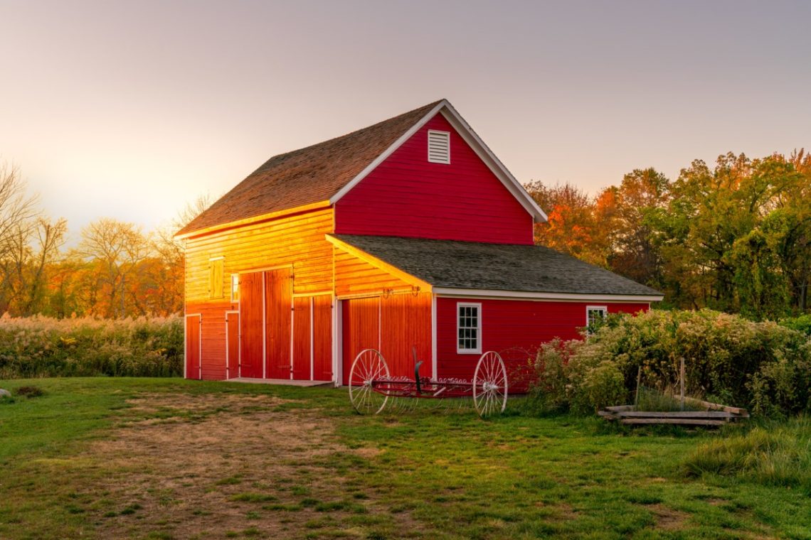 U of G research shows rural areas have unique needs during pandemic recovery