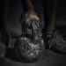 CANADA: CrossFit gyms quick to de-affiliate from brand after Glassman comments