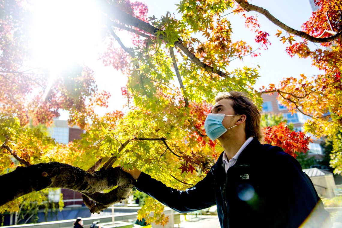 This co-op knows every inch of Northeastern’s arboretum and its 1,400 trees