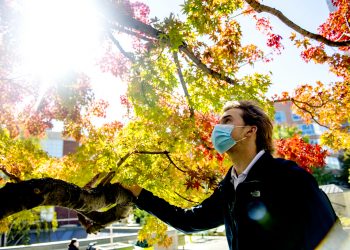 This co-op knows every inch of Northeastern’s arboretum and its 1,400 trees