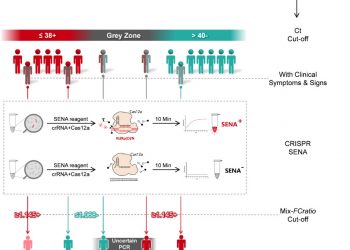 A CRISPR-Cas12a-based specific enhancer for more sensitive detection of SARS-CoV-2 infection