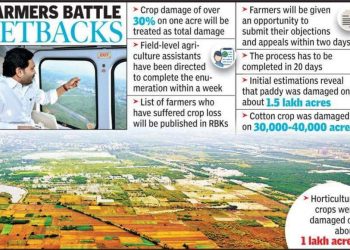 Agri dept starts estimation of crop damage on war footing | Vijayawada News