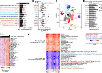 Endogenous retroviruses drive KRAB zinc-finger protein family expression for tumor suppression
