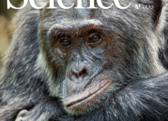 Joseph H. Connell (1923–2020) | Science