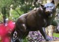 Panthers Forward Continues Its Mission of Student Loan Relief | Pittwire