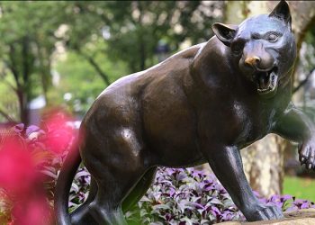 Panthers Forward Continues Its Mission of Student Loan Relief | Pittwire