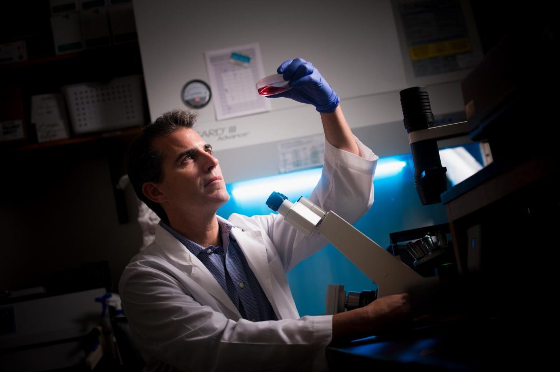 Researchers mine data and connect the dots about processes driving neuroblastoma