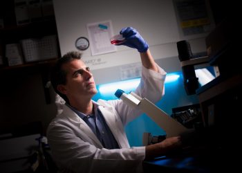 Researchers mine data and connect the dots about processes driving neuroblastoma