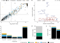 Evidence for 28 genetic disorders discovered by combining healthcare and research data