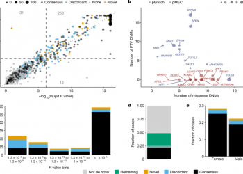Evidence for 28 genetic disorders discovered by combining healthcare and research data