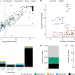 Evidence for 28 genetic disorders discovered by combining healthcare and research data