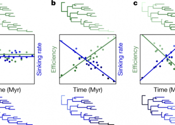 150 million years of sustained increase in pterosaur flight efficiency