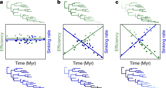 150 million years of sustained increase in pterosaur flight efficiency