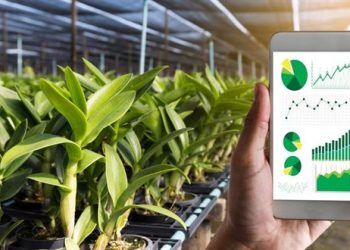 Food provenance platform set to boost SA beef supply chain