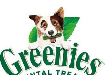 Put Your Pups’s Brainpower To The Test With Doggy IQ From The GREENIES(TM) Brand | State