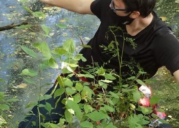 Watch now: LSA students go rock hunting for new geoscience class | Education