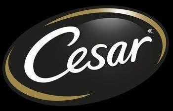 CESAR® Brand Collaborates With The Amazon Original Series ‘The Pack’ | TN State News