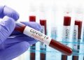 Coronavirus live updates: US reports highest daily death toll since mid-September | National