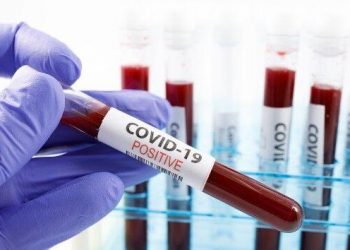 Coronavirus live updates: US reports highest daily death toll since mid-September | National