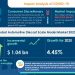 Automotive Diecast Scale Model Market to Grow by 5% in 2020, Amalgam Collection and AUTOart Emerge as Key Contributors to Growth | Technavio