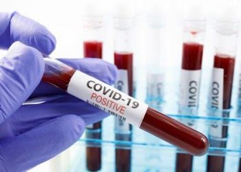 Coronavirus updates: New cases, deaths see double-digit increases in past week: HHS | National