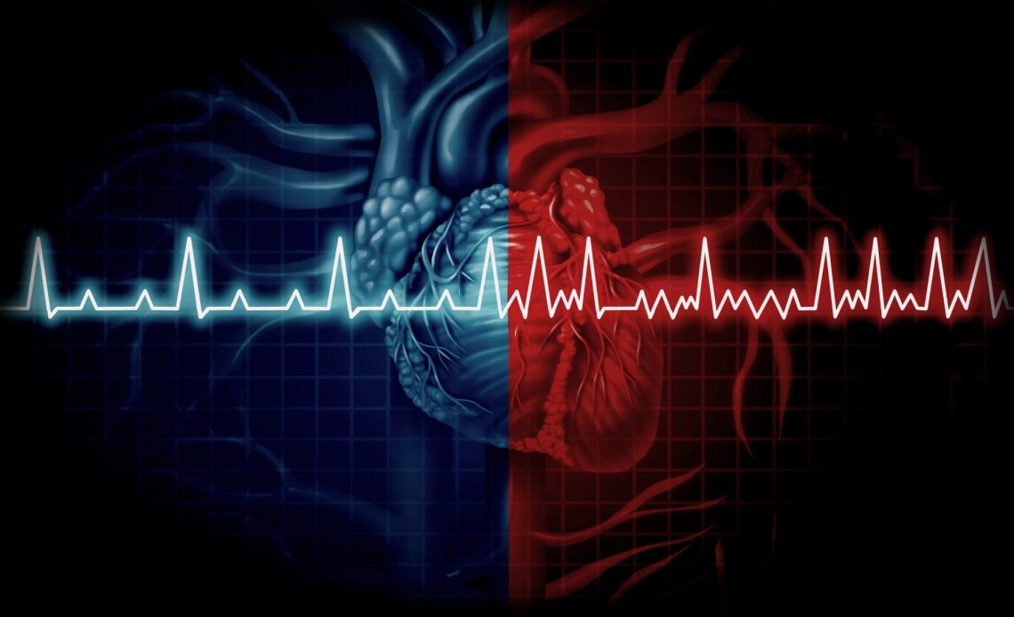 Study Suggests Olive Oil Helps Prevent Arterial Disease, Pomace Oil Might Worsen It