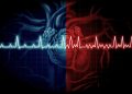Study Suggests Olive Oil Helps Prevent Arterial Disease, Pomace Oil Might Worsen It
