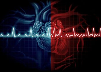 Study Suggests Olive Oil Helps Prevent Arterial Disease, Pomace Oil Might Worsen It