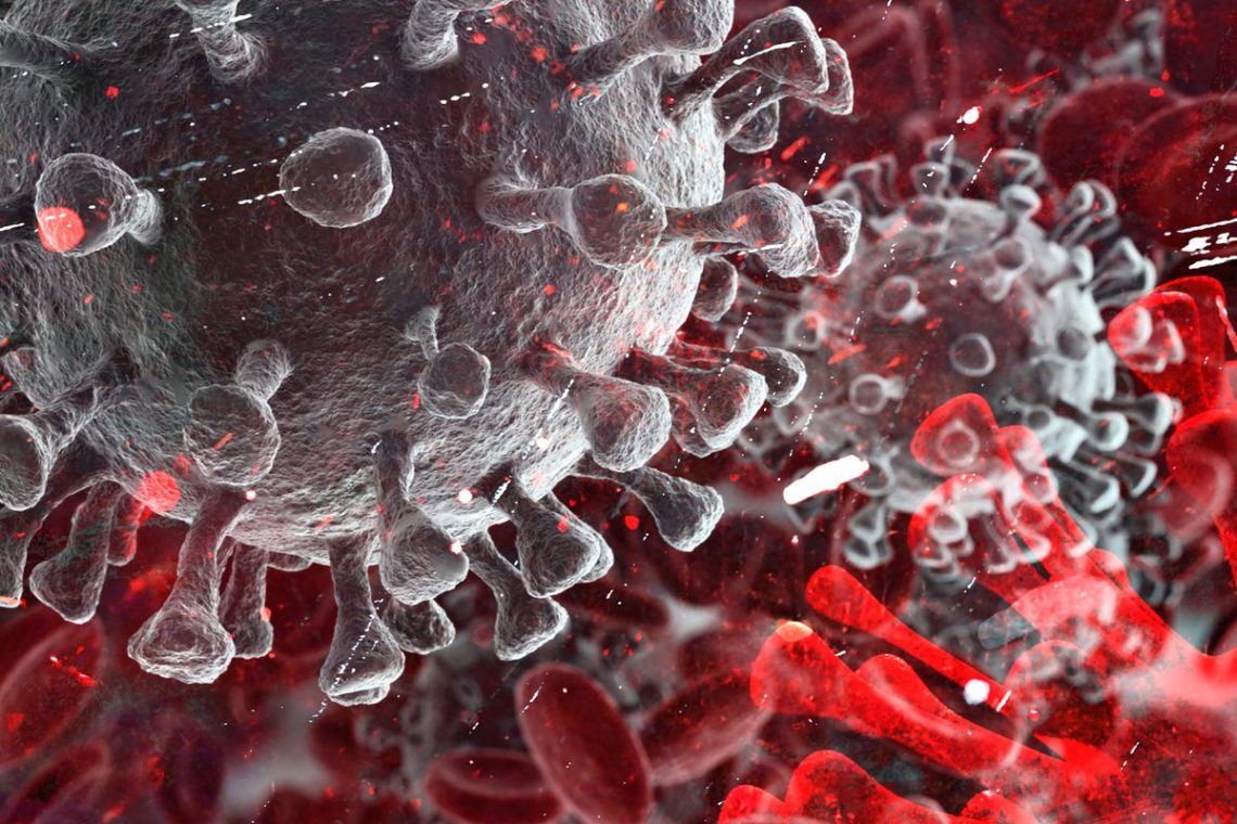 Almost 20% of Chicagoans show COVID antibodies: research data – New York Daily News