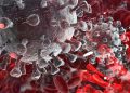 Almost 20% of Chicagoans show COVID antibodies: research data – New York Daily News