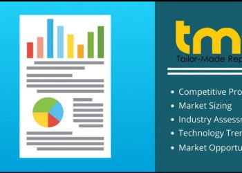 Pumped-Storage Hydroelectricity Market Product Functional Survey 2025 – The Daily Chronicle