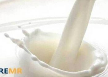 Cream And Soft Cheese Market Professional Survey and In-Depth Analysis Research Report Foresight to 2022