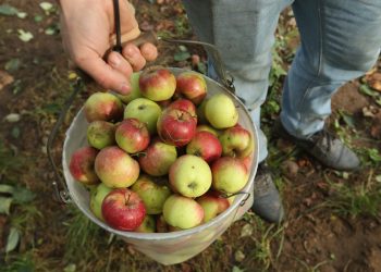 Coronavirus is driving people to one family farm