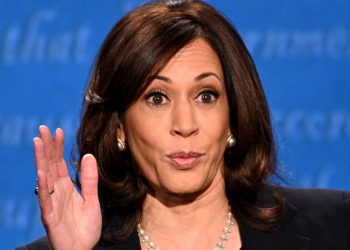 Focus Group’s ‘Biggest Takeaway’: Michigan Swing Voters Believe Harris Will Act As President; Leads Some To Go Trump