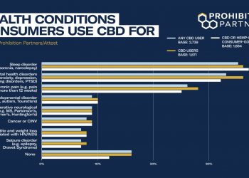 Key Insights From CBD: The Consumer Report
