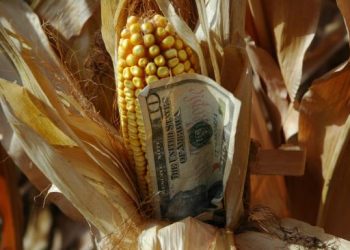 Lawsuit says Trump administration tries to cut farm wages
