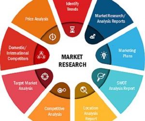Animal Wound Care Market Performance And SWOT Analysis 2020 – 2027