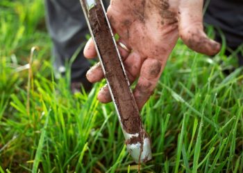 Soil Tests In Fall Can Help Identify Deficiencies | News, Sports, Jobs