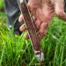 Soil Tests In Fall Can Help Identify Deficiencies | News, Sports, Jobs
