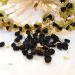 Flower Seeds Market SWOT Analysis by Key Players: Limagrain,