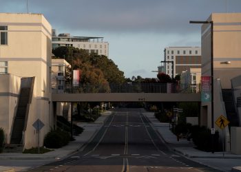 UCSD Begins Mexico Violence Research Project To Study Drug War Beyond Cartels – NBC 7 San Diego