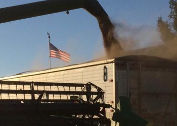 U.S. corn, soybean harvest paces tower over averages, USDA reports