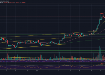 Bitcoin Just Marked New 2020 High, But This Indicator Signals Correction Incoming (BTC Price Analysis)