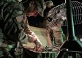 Trust Algorithms? The Army Doesn’t Even Trust Its Own AI Developers